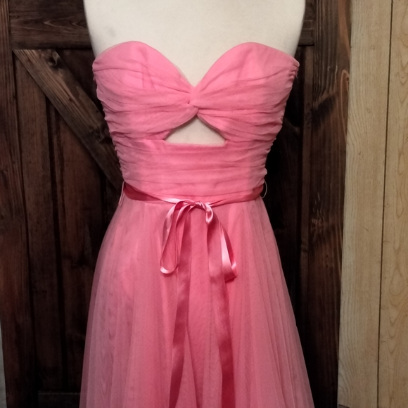 Pink Chiffon - Picture 5 of 5